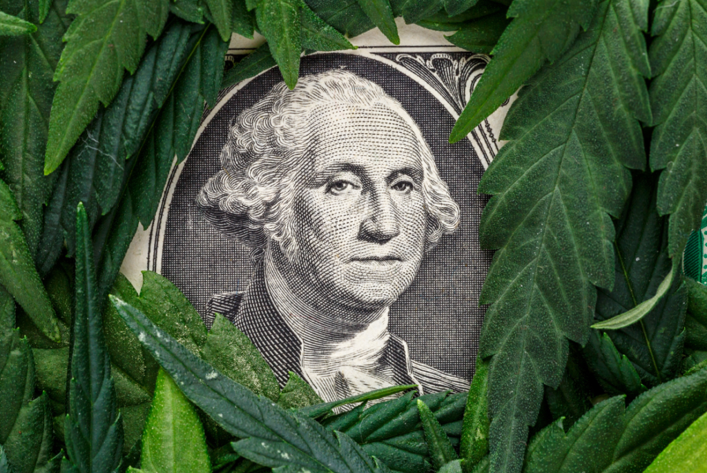 hlava amerického prezidenta na bankovce spolu s listy konopí a marihuany