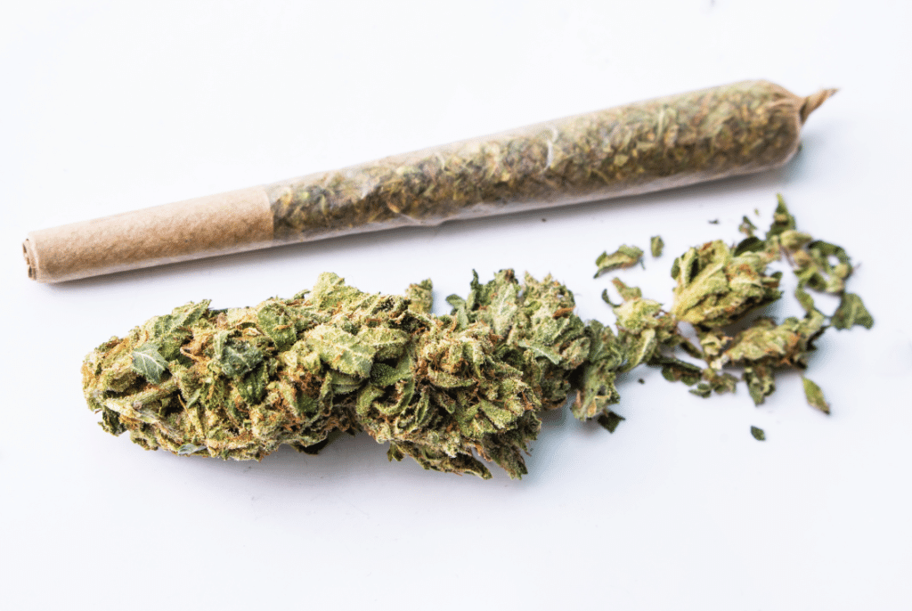 joint marihuany a sušené konopí